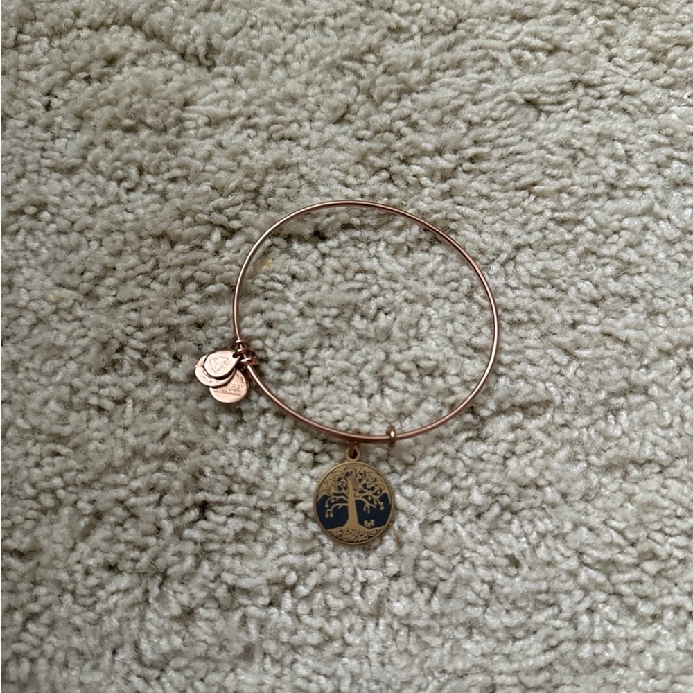 Alex and Ani tree of life bracelet